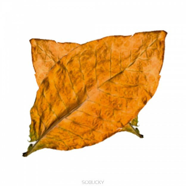 10ml Super Aromas Golden Leaves