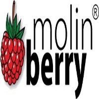 Molin Berry Drink Concentrates Ireland