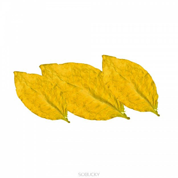 10ml Super Aromas Cappuccino Leaves