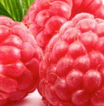 Concentrate - Decadent Vapours Raspberry (10ml)